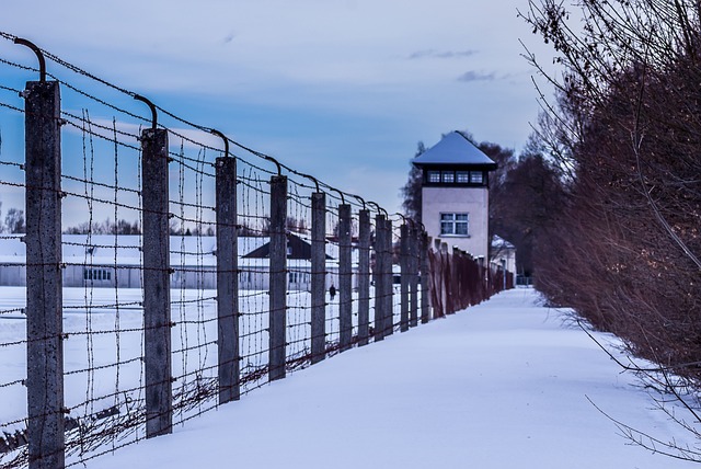 How does the concept of liberty intersect with the rights of prisoners, particularly regarding rehabilitation, reintegration, and prison conditions?